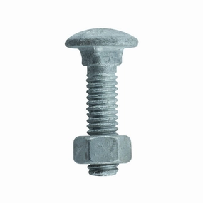 Carriage Bolt HDG