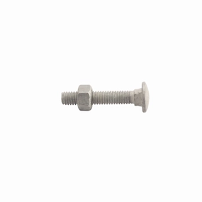 Carriage Bolt HDG