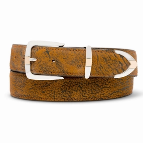 Chacon Denver w/ 14K Gold Buckle Set 1.5 3 pc