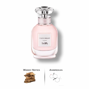 Coach Dreams Perfume By Coach