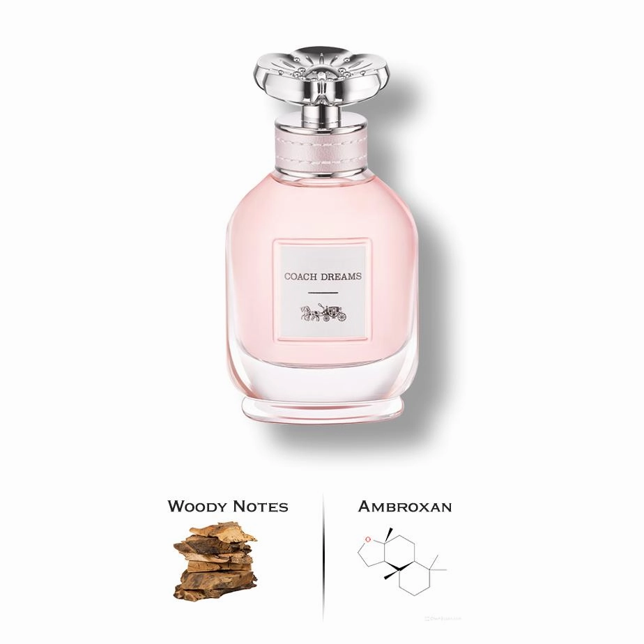 Coach Dreams Perfume By Coach