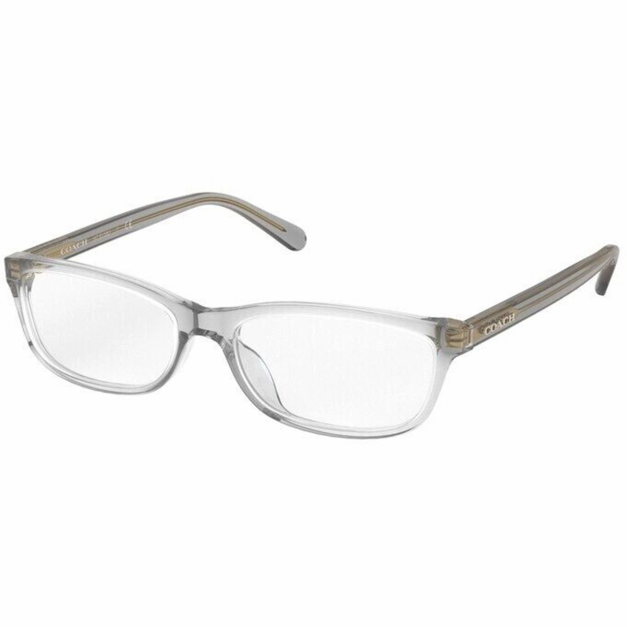 Coach Women's Eyeglasses - Transparent Light Grey Plastic Frame | COACH 0HC6158U 5354