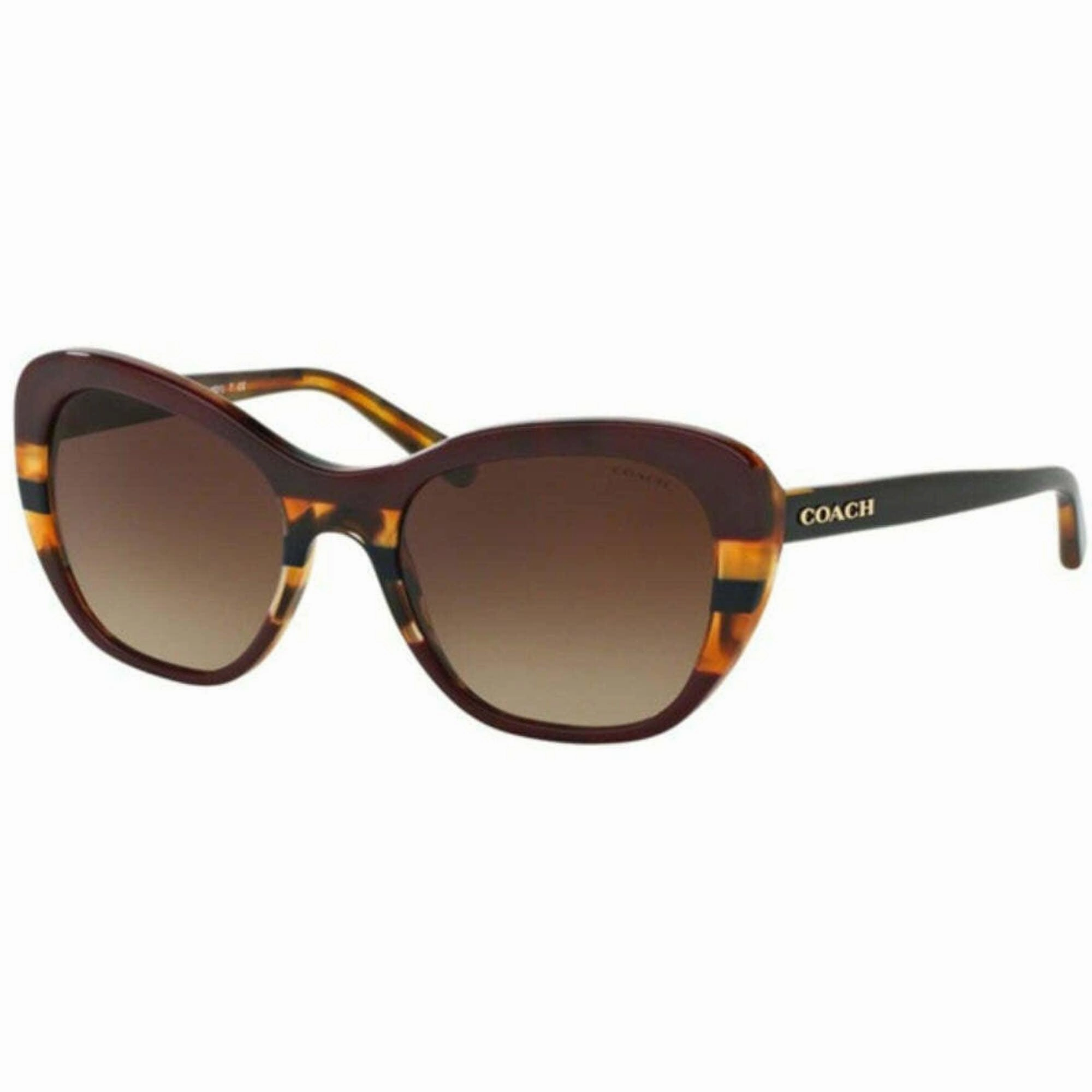 Coach Women's Sunglasses - Aubergine Navy Tortoise Varsit Frame | 0HC8204F 54441354