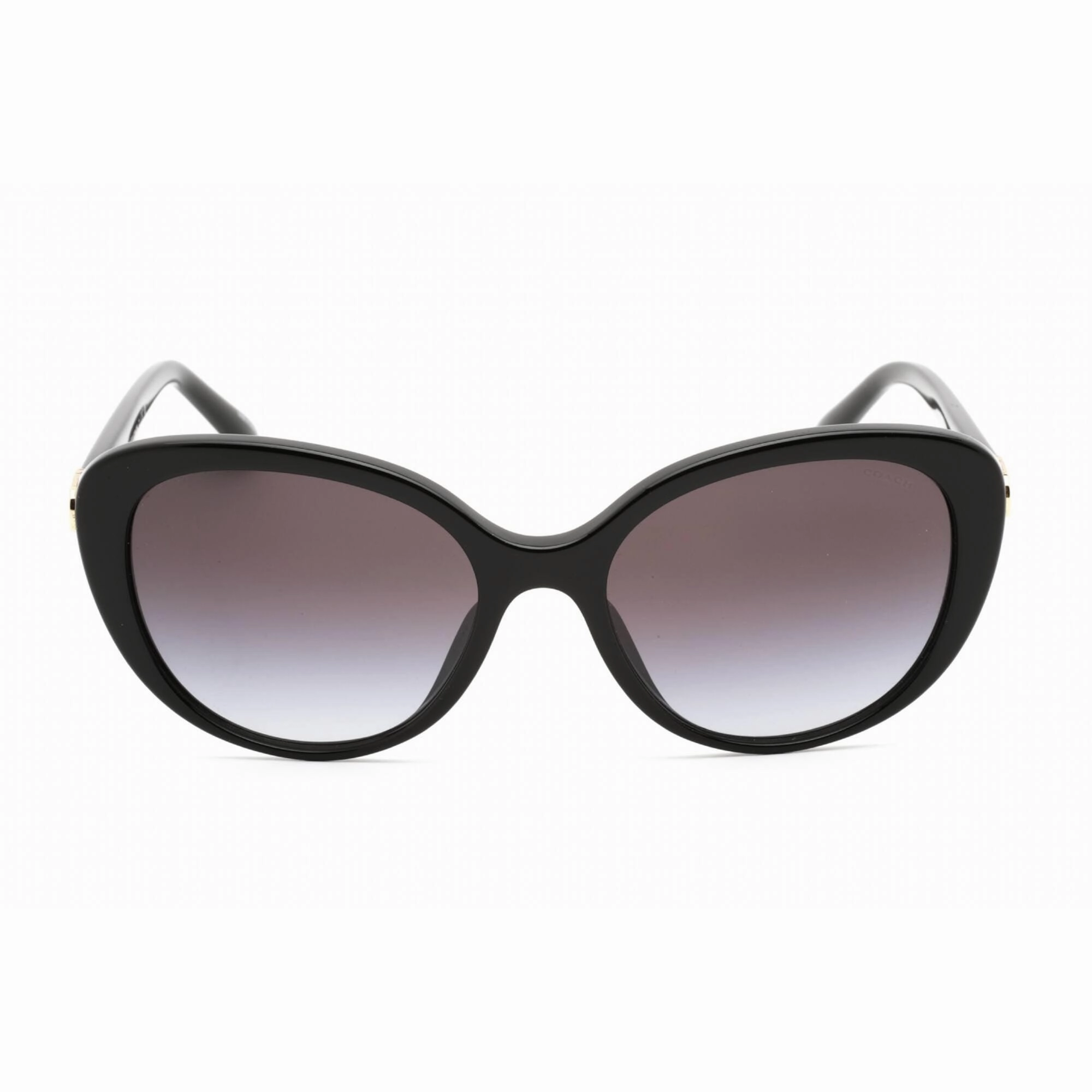 Coach Women's Sunglasses - Full Rim Black Plastic Cat Eye Frame | 0HC8348U 50028G