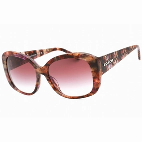 Coach Women's Sunglasses - Petal Tortoise Plastic Full Rim Frame | 0HC8363U 57398H